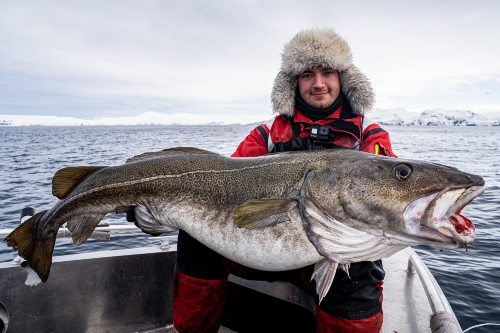 Fishing in Norway. Large Fish